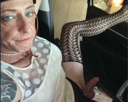 Swinger Hotwife Cuckold User