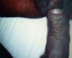 Swinger Hotwife Cuckold Houston - BBC11