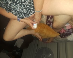 Swinger Hotwife Cuckold San Jose - SnJ510