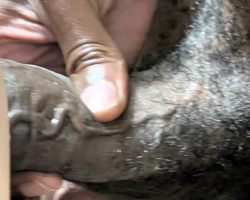 Swinger Hotwife Cuckold Charlotte - Eddierandall12