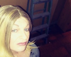 User member profile in ,