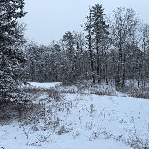 hawkdriver95: Swingers Hotwife Cuckold