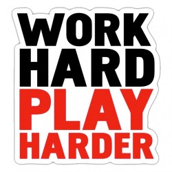 Work Hard Play Harder