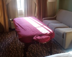 Swinger Hotwife Cuckold DFW - WELLNESSPRIORITY