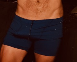 Swinger Hotwife Cuckold Chicago - DonkyDong69