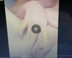  - Lookingforcock Photo