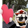Austin swinger hotwife & cuckold profile – HouFWCouple on Rocktie