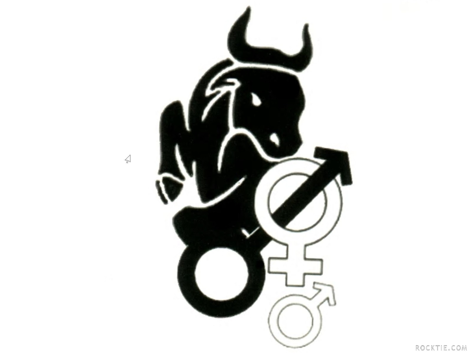 Spokane Wives and Bulls