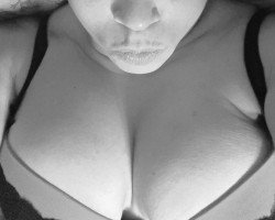  - Vosamore Photo