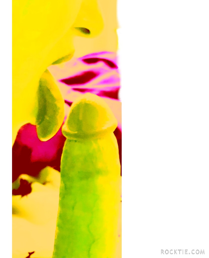 Swingers Hotwife Cuckold Minneapolis - LimitlessX