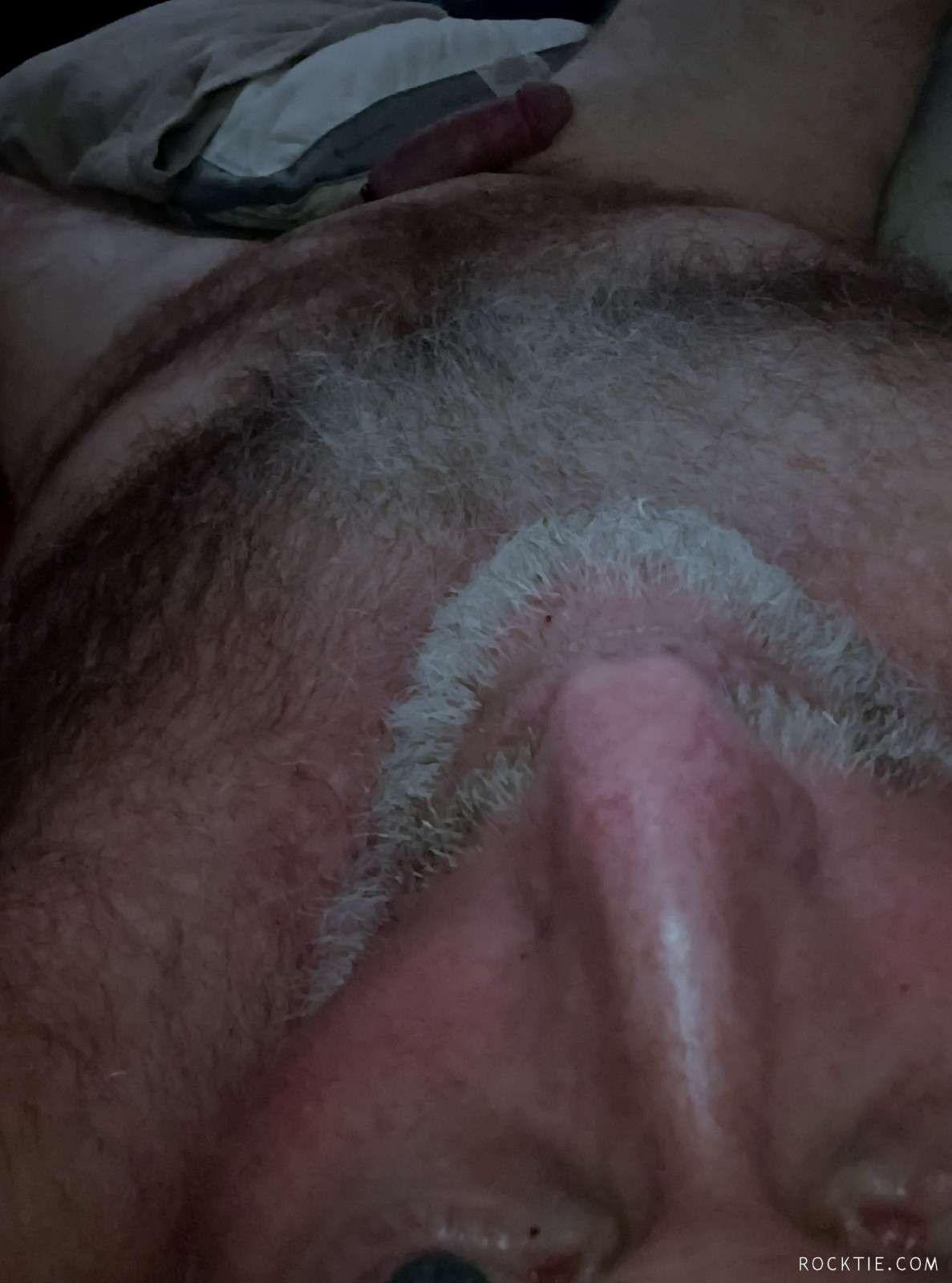 Swingers Hotwife Cuckold Fort Myers - Biglove6967