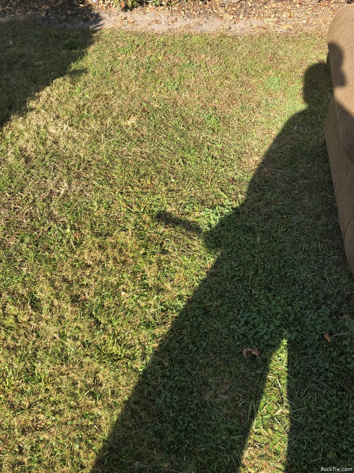 Swingers Hotwife Cuckold Myrtle Beach - Beachcouple69