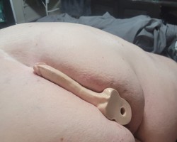 Swinger Hotwife Cuckold Fort Smith - BLookingForStuds