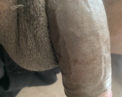 Swinger Hotwife Cuckold Birmingham - Dabamabull