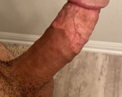 Swinger Hotwife Cuckold Austin - TXMilVet