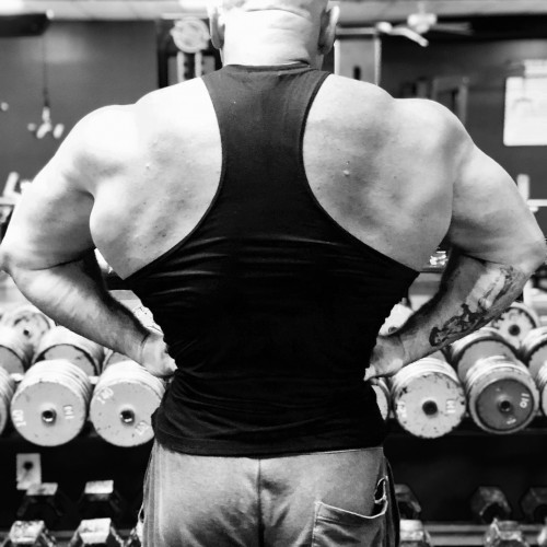 Petrainer: Swingers Hotwife Cuckold