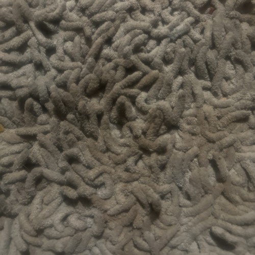 Swmo89: Swingers Hotwife Cuckold