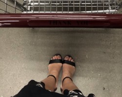  - Bipurplecouple Photo