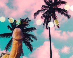 Swinger Hotwife Cuckold Daytona Beach - Woodylongwood9inMW