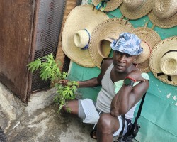 Swinger Hotwife Cuckold Columbia - Niamadfoote