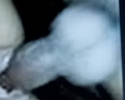 Swinger Hotwife Cuckold DFW - Pnp8uncutnthick