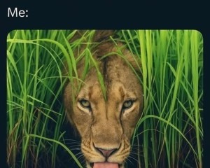CathyKittyDevon member profile in Belize, Belize