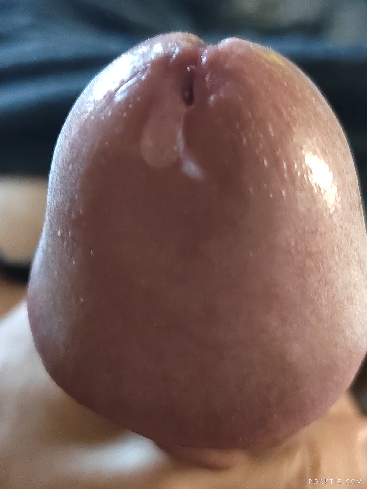 Swingers Hotwife Cuckold Bridgeport - Tygurrr