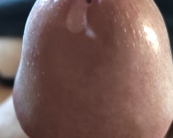 Swinger Hotwife Cuckold Bridgeport - Tygurrr