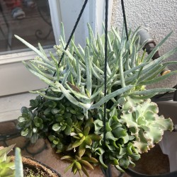 giangele23: Swingers Hotwife Cuckold