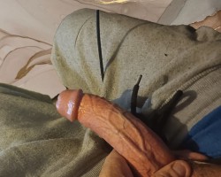 Swinger Hotwife Cuckold Daytona Beach - Woodylongwood9inMW