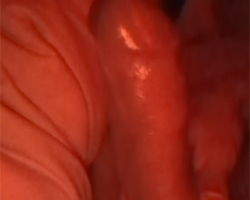 Swinger Hotwife Cuckold DFW - Bull4u2nite254