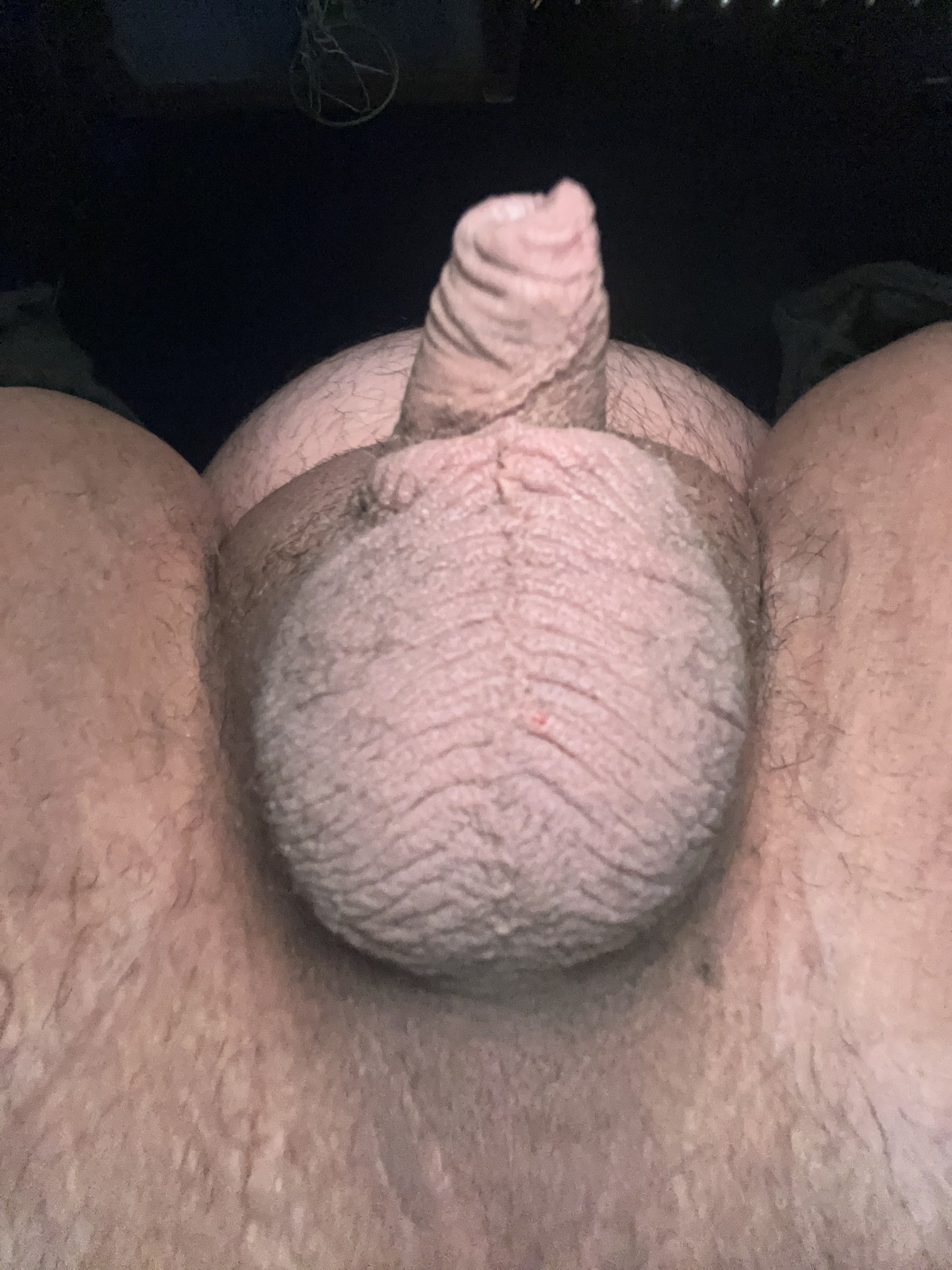 sissyslut member profile in Austin, Texas