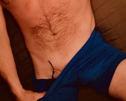 Swinger Hotwife Cuckold Chicago - DonkyDong69