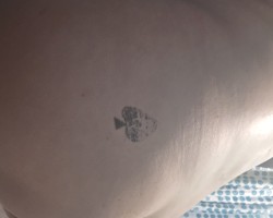 Swinger Hotwife Cuckold DFW - Abelman