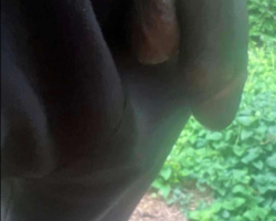 Swinger Hotwife Cuckold DFW - KLEVIS