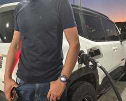  - NotYourBasicPine Photo