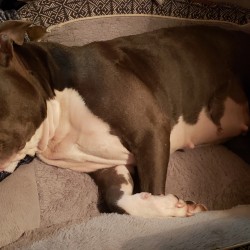 Texasswingers: Swingers Hotwife Cuckold