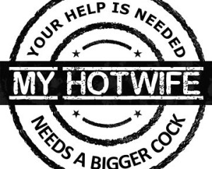 User member profile in ,