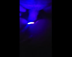 Rainbow Butt Plug
