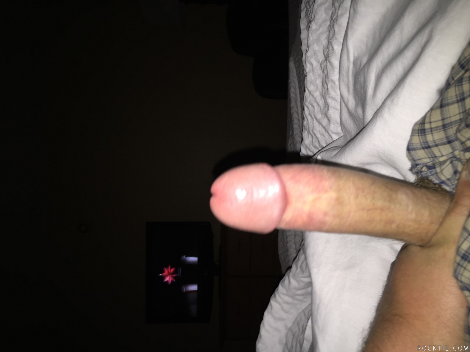 Swingers Hotwife Cuckold Gainesville-Ocala - Freakcouple