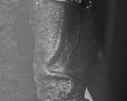 Swinger Hotwife Cuckold Jacksonville - DikinyaSlowly