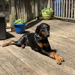 newandfun82: Swingers Hotwife Cuckold