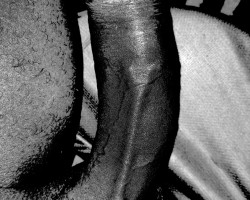 Swinger Hotwife Cuckold Alexandria - LDlouis66