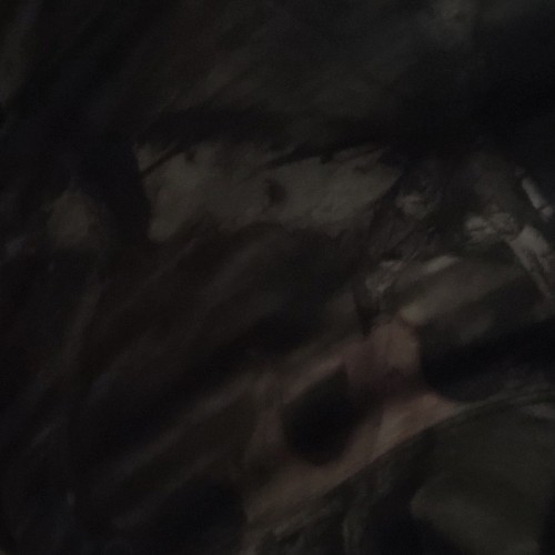 Quinthuntet: Swingers Hotwife Cuckold