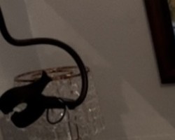 Swinger Hotwife Cuckold User