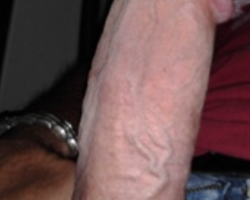 Swinger Hotwife Cuckold User