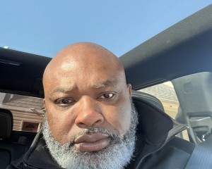 User member profile in ,