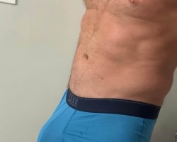 Athletic hung bull in Vegas Feb 22-25th