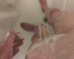 Swinger Hotwife Cuckold DFW - Etxblnd