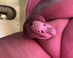 Swinger Hotwife Cuckold User